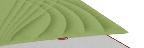 cellactiva plus Matte Schutzhülle - Pistazie