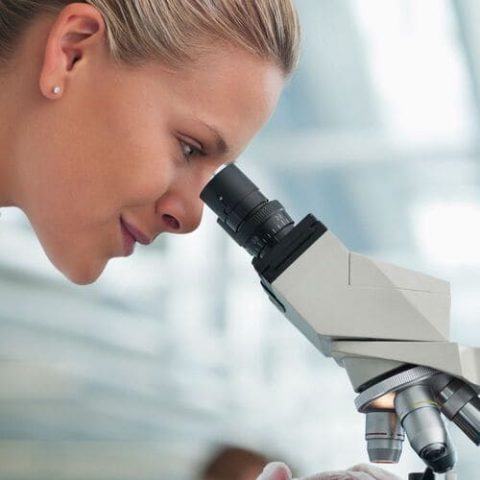 MedizinischeStudien cellactiva deDE